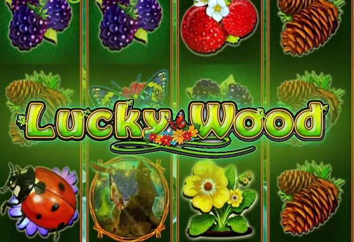 Monstercasinodownload Store logo for premium online casino downloads.